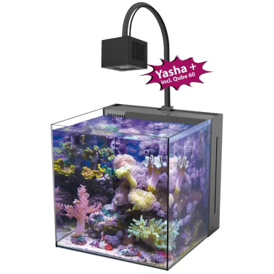 Aqua Medic Yasha+ 60 kaufen? Corqlandfishstore.nl