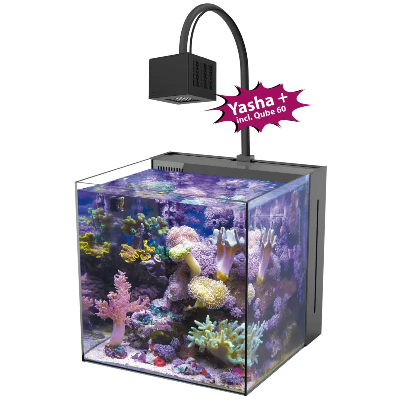 Aqua Medic Yasha+ 60 kaufen? Corqlandfishstore.nl Aqua Medic Yasha+ 60 kaufen? Corqlandfishstore.nl