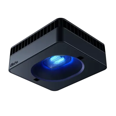 Möchten Sie Red Sea MAX NANO G2 Peninsula kaufen? | Coralandfishstore