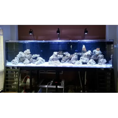 Kessil A360 zeewater