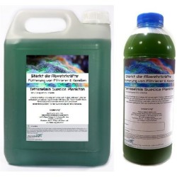 Plankton24 Tetraselmis suecica Plankton zuchtansatz 1000ml