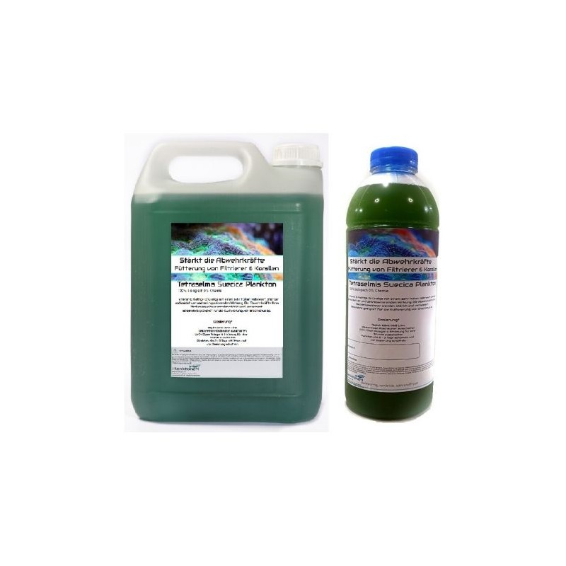 Plankton24 Tetraselmis suecica Plankton zuchtansatz 1000ml