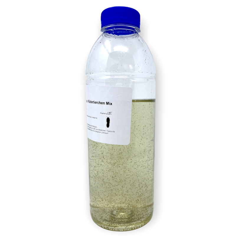 Plankton24 Tigerpods vivants