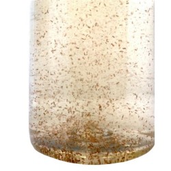 Plankton24 Tigerpods vivants