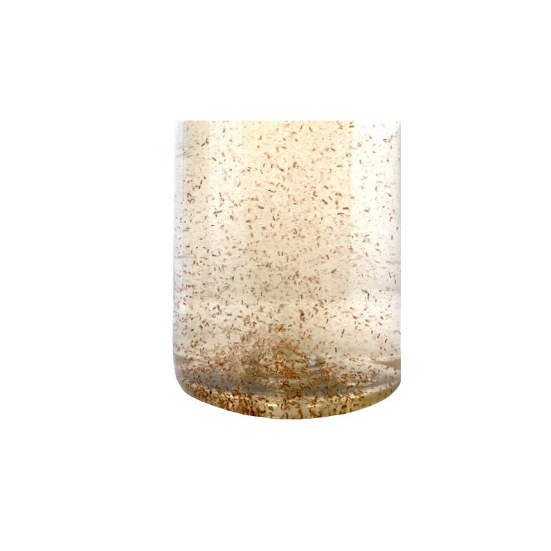 Plankton24 Tigerpods vivants