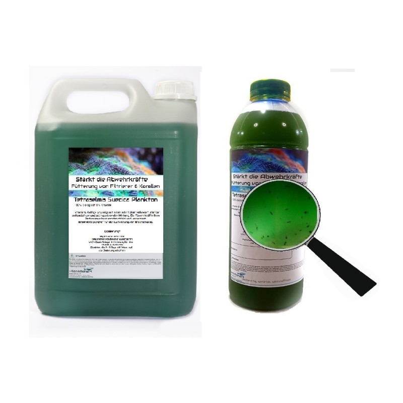 Plankton24 Tetraselmis Suecica mit Zooplankton 1000ml Plankton24 Tetraselmis Suecica mit Zooplankton 1000ml