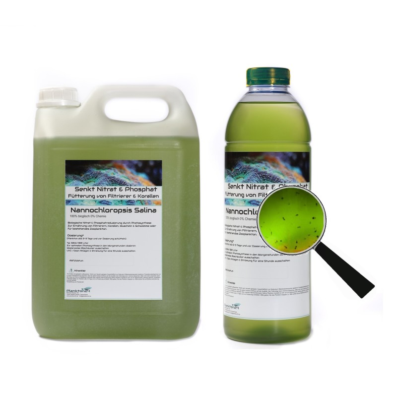 Plankton24 Nannochloropsis Salina mit Zooplankton 1000ml Plankton24 Nannochloropsis Salina mit Zooplankton 1000ml