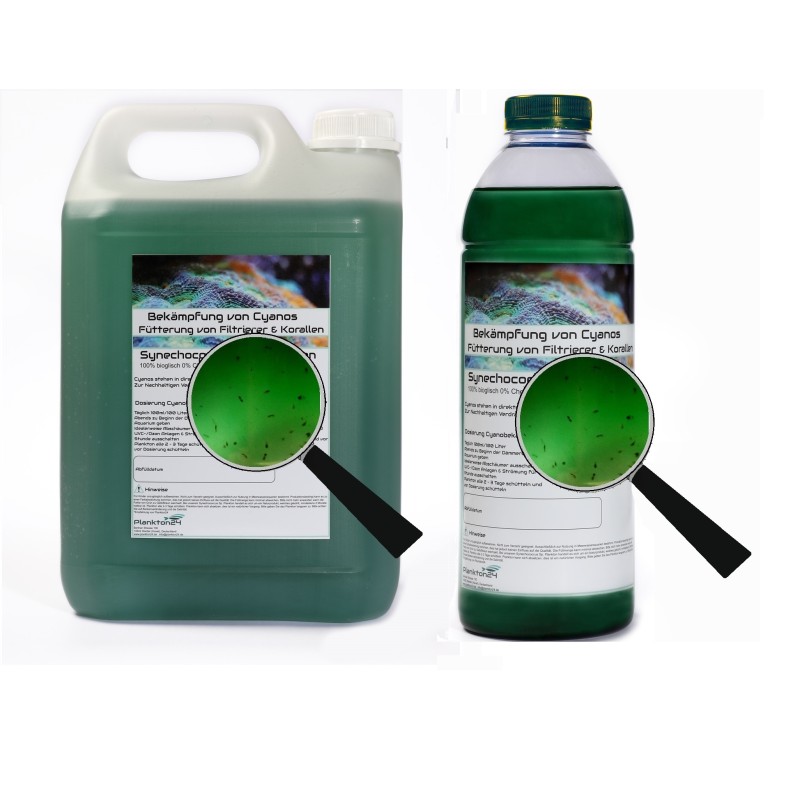 Plankton24 Synechococcus mit Dünger 1000ml Plankton24 Synechococcus mit Dünger 1000ml