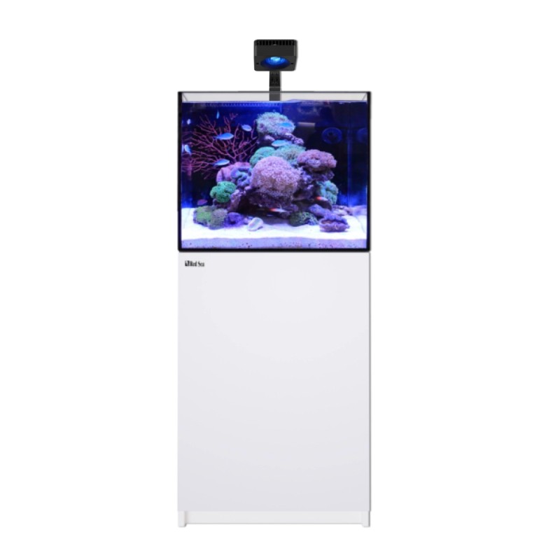 Red Sea REEFER 170 G3 Deluxe – Weiß (inkl. 1 X RL115 und Arm)
