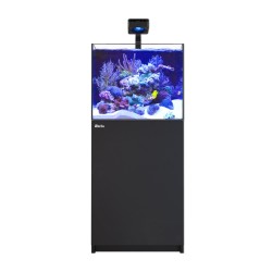 Red Sa REEFER 200 G3 Deluxe - Schwarz (inkl. 1 X RL115 & Arm)