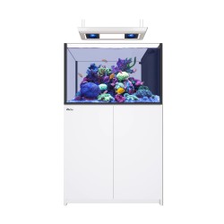 Red Sea REEFER Peninsula 350 G3 Deluxe – Weiß (inkl. 2 X RL115 und Anhänger)