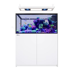 Red Sea REEFER Peninsula 500 G3 Deluxe - Wit (incl.RL170 & Pendant)