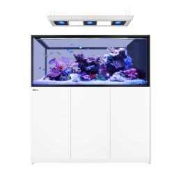 REEFER Peninsula S 700 G3 Deluxe - Wit