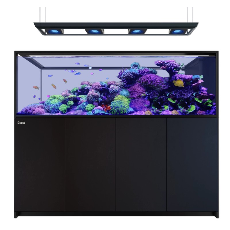 Red Sea REEFER Peninsula S 950 G3 Deluxe-Schwarz (inkl. RL&Pen)