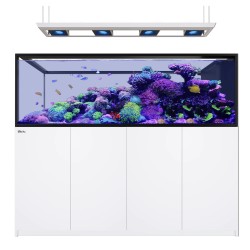 Red Sea REEFER™ Peninsula S-950 G3 Deluxe – Weiß (inkl. RL 170S und Anhänger)