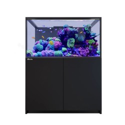 Système complet Red Sea REEFER™ G3 S 550 - Noir