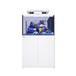 Red Sea REEFER MAX Peninsula 350 G3 White