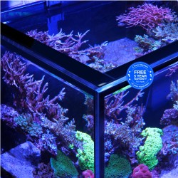 Red Sea REEFER MAX Peninsula 350 G3 White Red Sea REEFER MAX Peninsula 350 G3 White