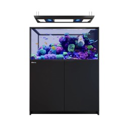 Red Sea REEFER MAX Peninsula 500 G3 - Schwarz