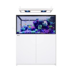 Red Sea REEFER MAX Peninsula 500 G3 - Wit