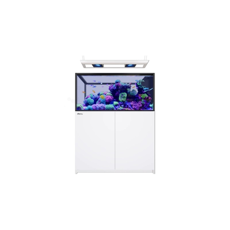 Möchten Sie Red Sea REEFER MAX Peninsula 500 G3 kaufen? | Coralandfishstore.nl Möchten Sie Red Sea REEFER MAX Peninsula 500 G3 kaufen? | Coralandfishstore.nl