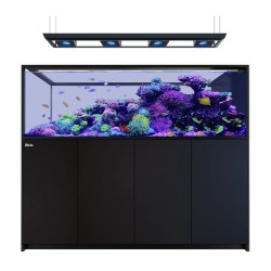 Red Sea REEFER MAX Peninsula S-950 G3 - Zwart