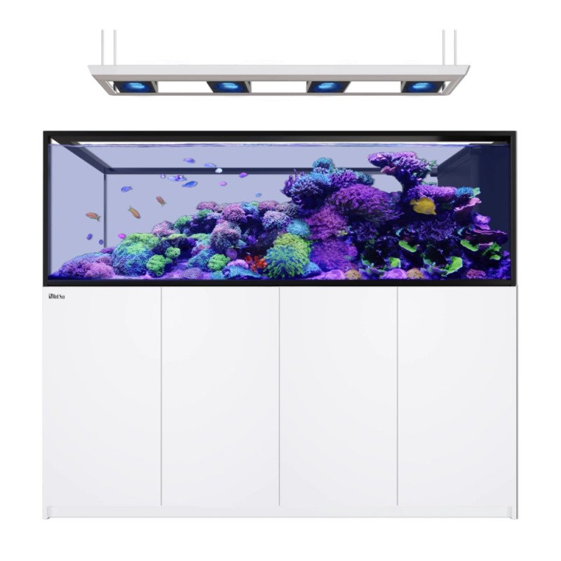 Red Sea REEFER MAX Peninsula S-950 G3 - Blanc