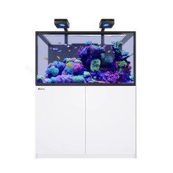 Red Sea REEFER S-550 G3 Deluxe - Wit (incl. 2  X RL170 & arms)