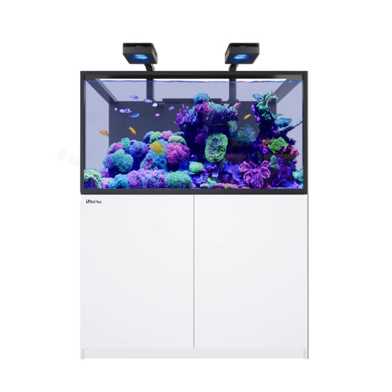 Red Sea REEFER S-550 G3 Deluxe - Blanc (avec 2 RL170 et bras)