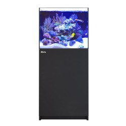 Red Sea REEFER™ 200 System G3 – Schwarz kaufen?