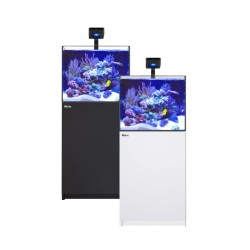 Red Sa REEFER 200 G3 Deluxe - Blanc (avec 1 X RL115 et bras)