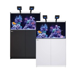 Red Sea REEFER 250 G3 Deluxe - Weiß (inkl. 2 X RL115 & Arme