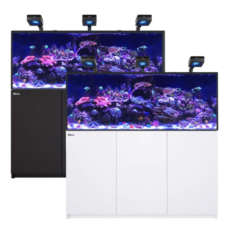 Red Sea REEFER 625 G3 Deluxe - Blanc (avec 3 RL115 et bras)