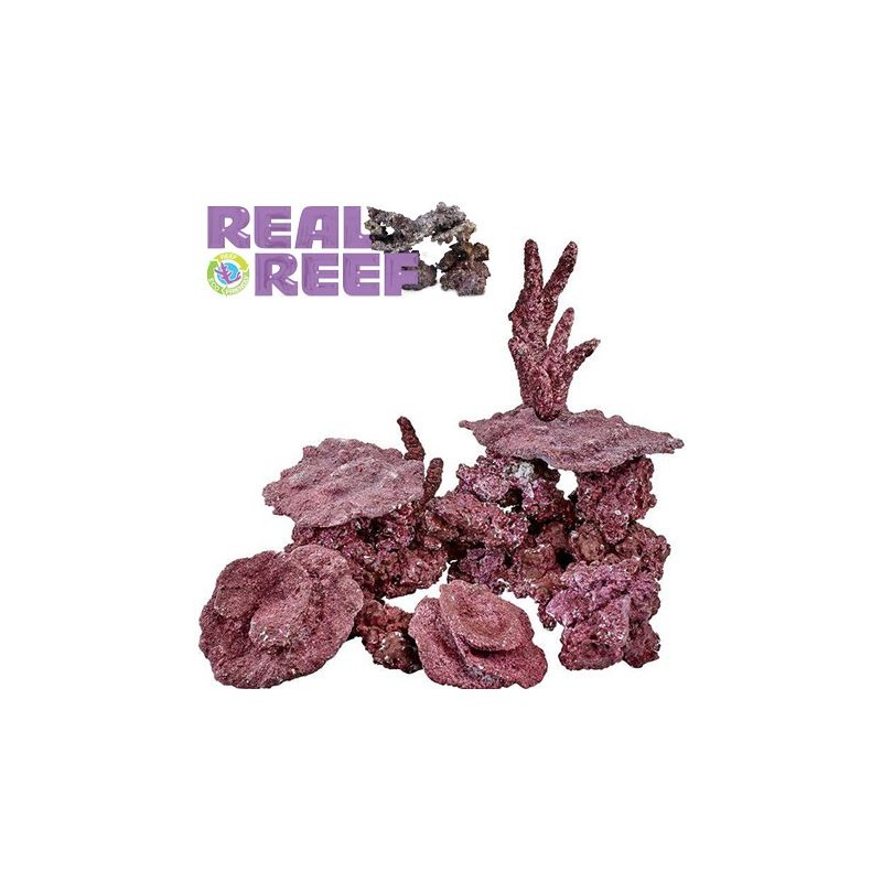 Real Reef Rock klein/mittel pro Kilo