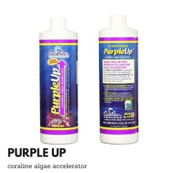 Purple Up 237ml
