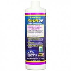 Purple Up 237ml