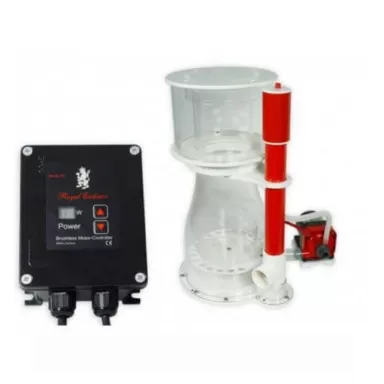 Royal Exclusiv BK Double Cone 180 intern RD3 50W