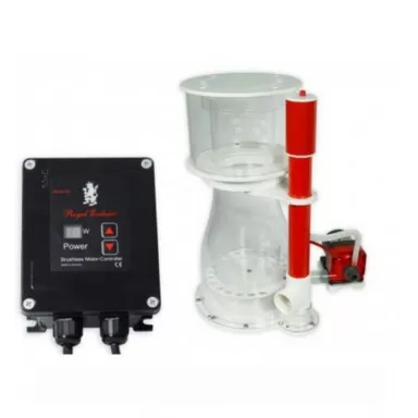 Royal Exclusiv Double Cone 250 interne RD3 60W
