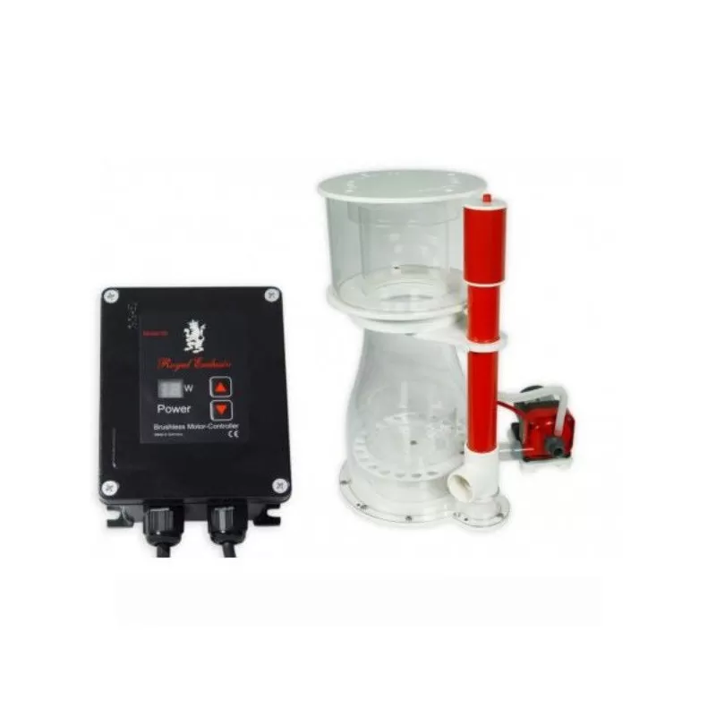 Royal exclusive Double Cone 250 internal RD3 60W
