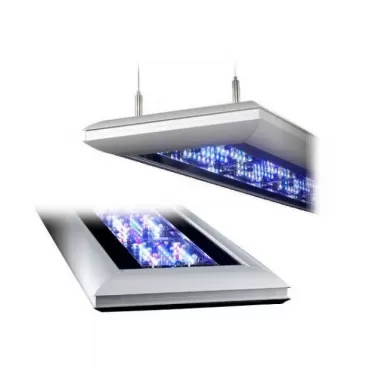 Giesemann futura s 450mm 2 modules| Coralandfishstore.nl