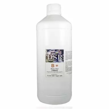 DSR B+ 1000ml