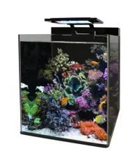Nano-Aquarium