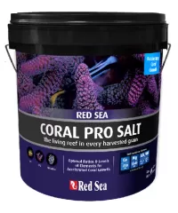 Salz Red Sea