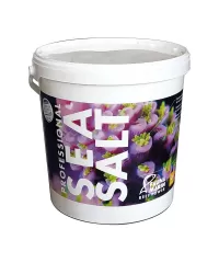 Fauna Marine