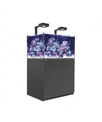 Kühlaquarium