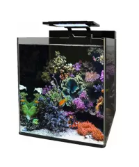 Blue Marine Aquarium