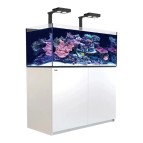 Meeresaquarium