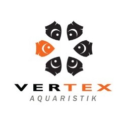 Vertex