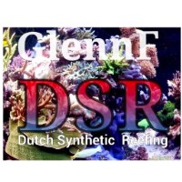 DSR