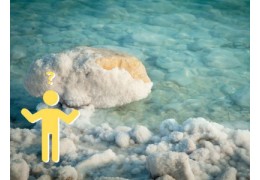 Welches Salz wählen Sie für Ihr Meerwasseraquarium?